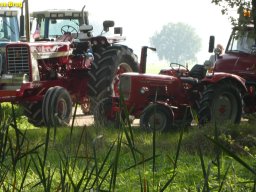 ws 178